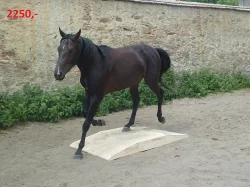 Agility mosty