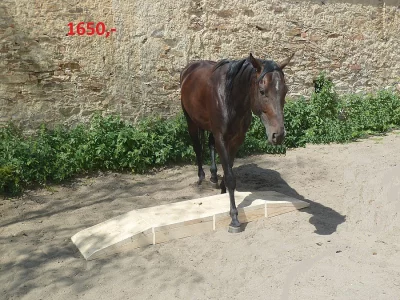 Agility mosty