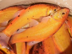 Nabídka ryb na rok 2017 - Rybí líheň Mydlovary