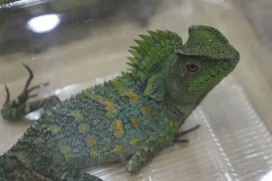 Terrabazar-Výstavní a prodejní teraristická burza