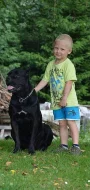 Cane Corso s PP - PSI