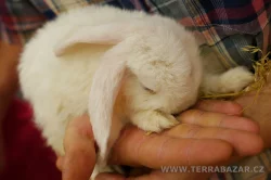 Terrabazar-Výstavní a prodejní teraristická burza