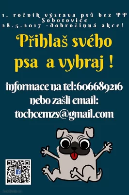 Výstava psů bez PP Sobotovice 28.5.2017