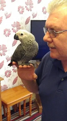 Žako Kongo