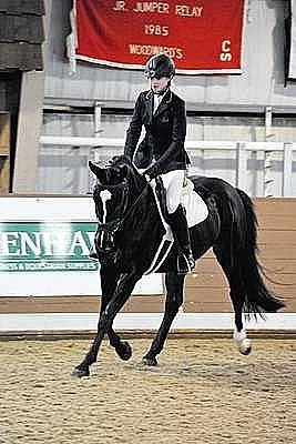 Hanover Drezúra Jízda