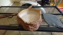 Velké terárium Exo terra