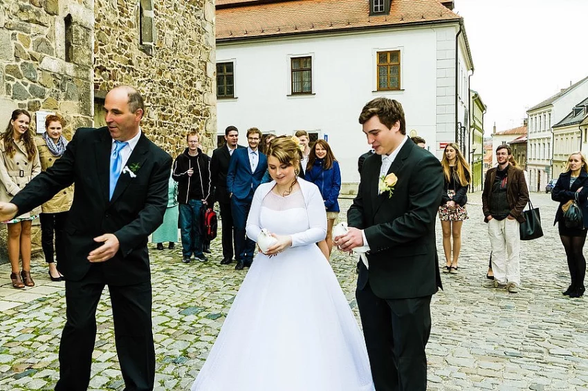 Svatební holubi