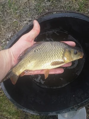 Násada K2
