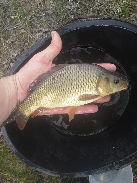 Násada K2