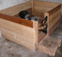 Porodní box-bedna