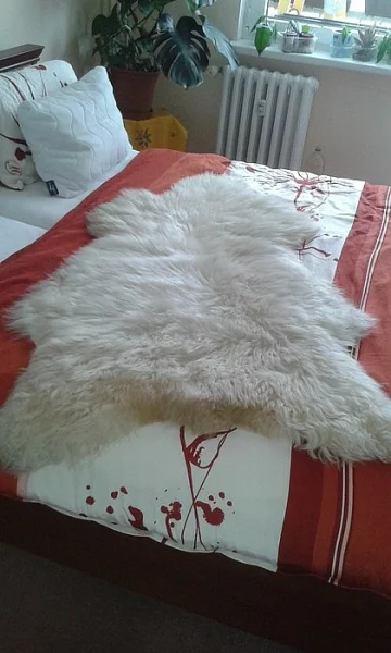 Prodám krásné nové ovčí kůže