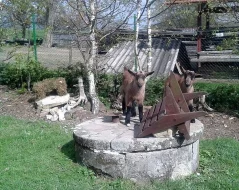 Kozičky hnědé krátkosrsté