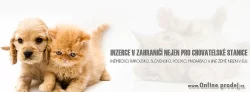 Inzerce v zahraničí pro CHOVATELSKÉ STANICE