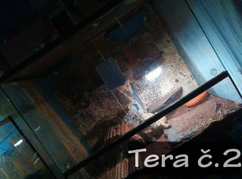 Dvě terária, Akvárium