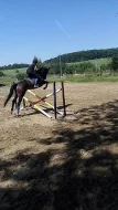Oldenburg na predaj