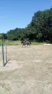 Oldenburg na predaj