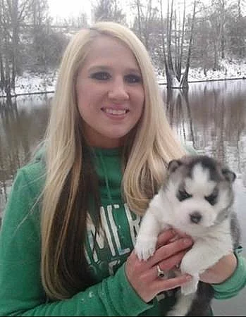 Úžasný sibiřský husky na prode