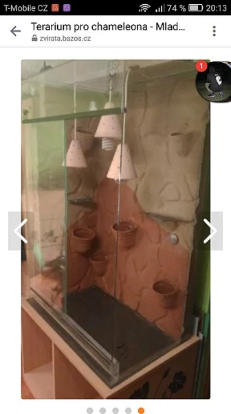 VELKÉ TERARIUM!