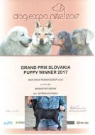 Brabantík s PP
