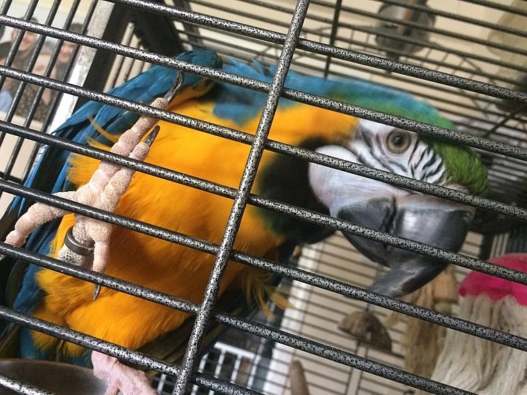 Mužské a ženské roztomilé a hravé