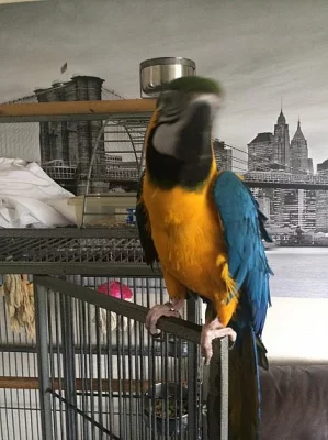 Mužské a ženské roztomilé a hravé