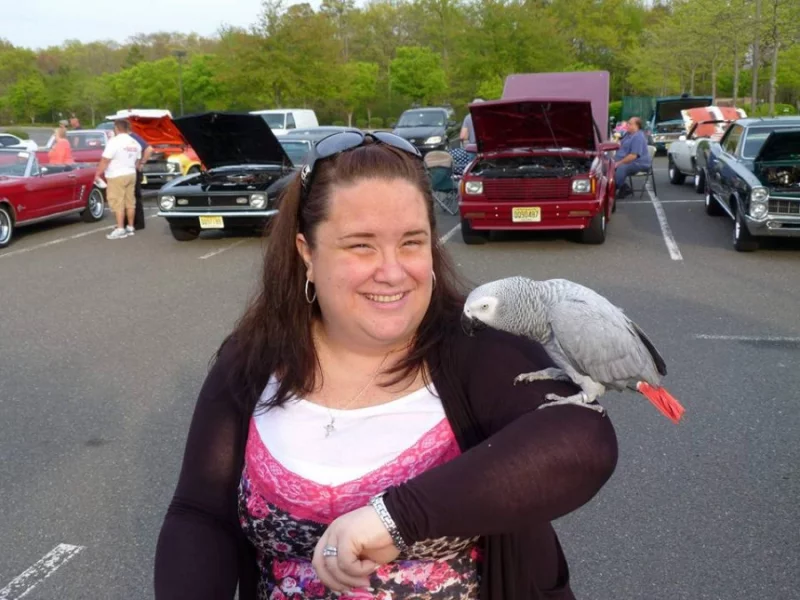 Tamed papoušky Baby a dospělé papo