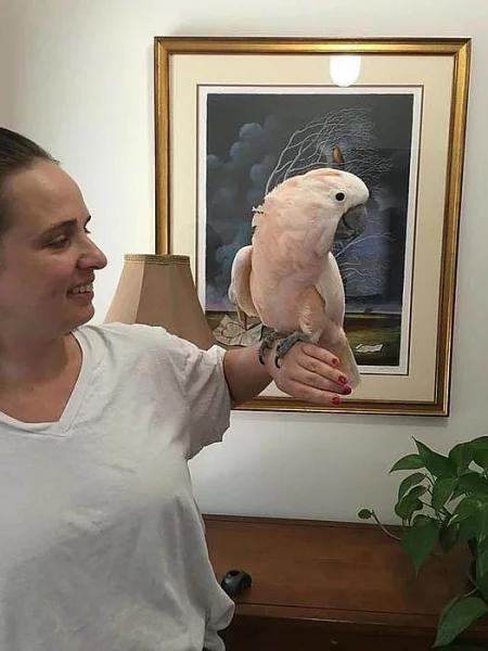 Triton Cockatoo. Plavíme se