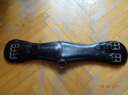 Drezurní podbřišník Jan Hauzr