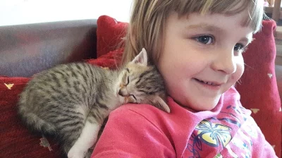 Daruji koťátka do dobrých rukou