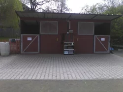 nábízím ustájení koní v rodinne stáji u vlašimi