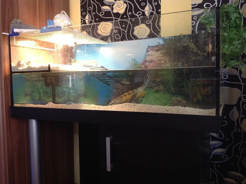 Akvaterárium s příslušenstvím