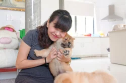 ZDRAVOTNICKÉ CHOW CHOW štěňata na prodej