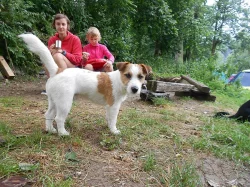 Krytí JRT