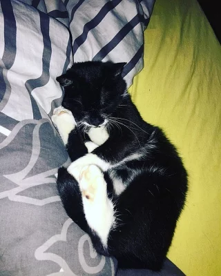 Daruji do dobrých rukou