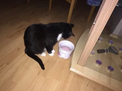Daruji do dobrých rukou