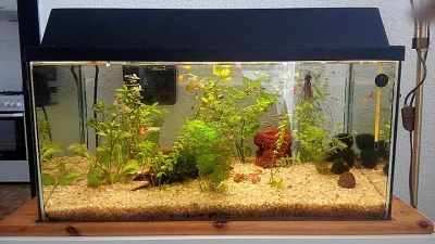 Prodám 60L akvárium