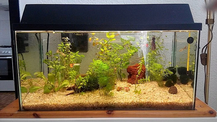 Prodám 60L akvárium