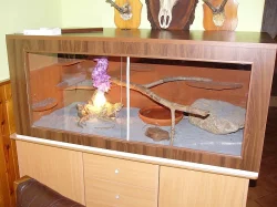 Terarium 120*63*52cm