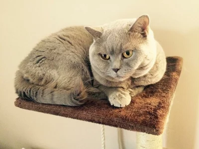 Daruji do dobrých rukou