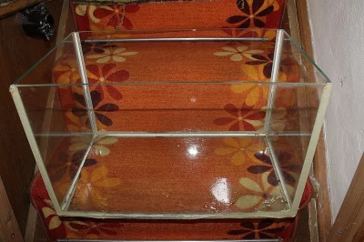 AKVÁRIUM PRO HLODAVCE PO MORČATECH