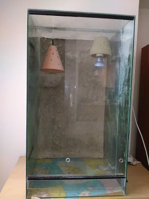 Terárium