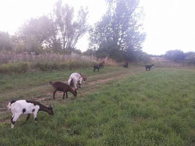 Daruji do dobrých rukou
