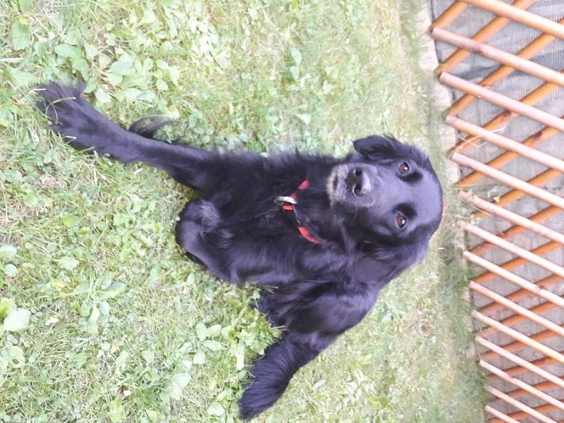 Daruji 4,5 letou fenku