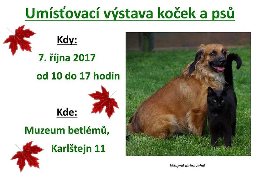 Umísťovací výstava koček a psů