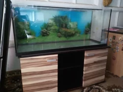 Akvarium 240l, filtrace , dekorace