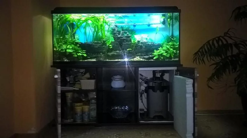 Akvarium 240l, filtrace , dekorace