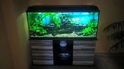 Akvarium 240l, filtrace , dekorace