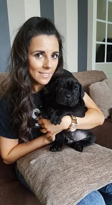 Cane Corso štěňata připraveni