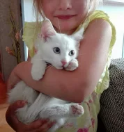 Daruji bílou kočičku