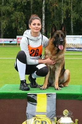 štěňátka německého ovčáka, černá se znaky s PP